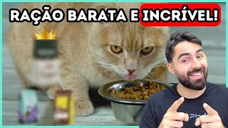 As Rações MAIS BARATAS E INCRÍVEIS Para Gatos [upl. by Suiradal]