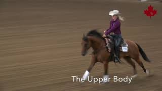 EQUITATION EXPLAINED The Sliding Stop [upl. by Aicekat876]