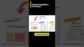 Enzyme Regulation Feedback Inhibition vs Gene Regulation [upl. by Py678]