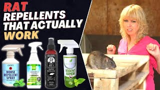 Best Rat Repellent Spray How to Get Rid of Rats in House Fast  Top Repellents [upl. by Kelley]