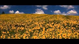 Roberto Cacciapaglia  Wind Song HD [upl. by Gascony]