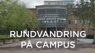 Campus i Umeå [upl. by Molloy]