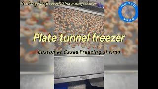 Keep shrimp fresh – the plate belt tunnel freezer way [upl. by Johnsson]