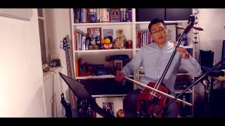 InceptionTime Hans Zimmer Horseheadfiddle loopcover by Jaavka [upl. by Aneehsirk]