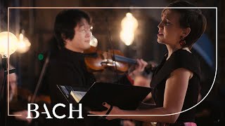 Bach  Jauchzet frohlocket from Christmas Oratorio BWV 248  Sato  Netherlands Bach Society [upl. by Matteo98]