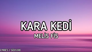 Melis Fis  Kara Kedi Lyrics  Sözleri [upl. by Llevram365]