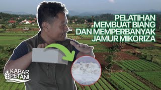 PELATIHAN MEMBUAT DAN MEMPERBANYAK JAMUR MIKORIZA  Kabar Petani [upl. by Quartus665]