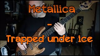 197 Metallica Trapped under ice bass cover [upl. by Eeslek]