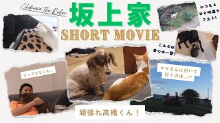 坂上家12月のショートムービー！～最新！それぞれの在り方～ [upl. by Naved]