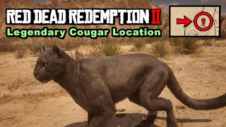 Legendary Cougar location  Red Dead Redemption 2 [upl. by Ava976]