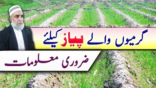 Instructions for Summer sowing of Onion crop  Crop Reformer [upl. by Juxon]