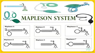 Mapleson Breathing system  Anesthesia Breathing system [upl. by Annaeerb]