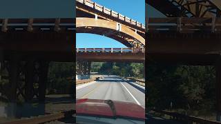 Fun bridge in the Black Hills of South Dakota 🥰 Bridges Drives Nature BlackHills SouthDakota [upl. by Taffy]