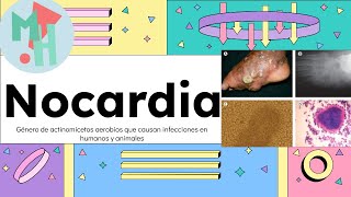 Nocardia¡Conoce a la bacteria que parece hongo [upl. by Jaf]