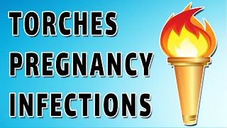 Torches Infections and Pregnancy [upl. by Aizahs]