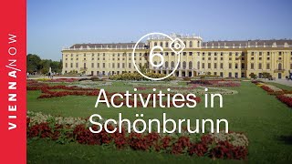 6 fun activities in and around Schönbrunn Palace [upl. by Gregoire272]