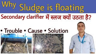 Why sludge is floating in secondary clarifier Sludge kyun uthta hai  ‎ETP Knowledge Junction [upl. by Torrey]