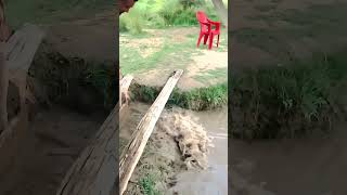 SelfMade Wooden Sluice Gate Diverting Water Flow Easily [upl. by Jaworski706]