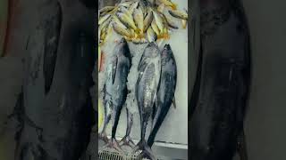 dubai fish market 🇦🇪🐟 dubai dubaitrekker dubaivlog food tamil [upl. by Lyred]