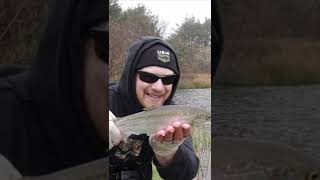 Stocked Trout Cant Resist GARLIC amp WORM Bait shorts fishing trout fishing [upl. by Archy]