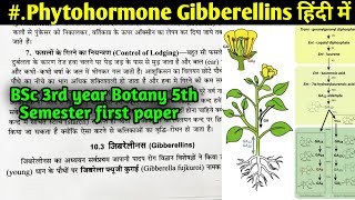 Gibberellins function and Mode of Action in Hindi  BSc 3rd year Zoology 5th Semester 1st Paper [upl. by Enaoj]