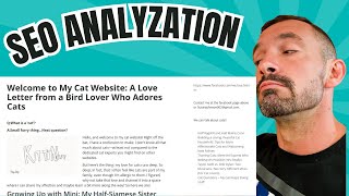 KittyNestxyz SEO Analyzation  Important Lesson On Links amp Site Health [upl. by Lissner]