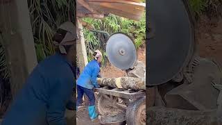 Eucalyptus wood circular saw cutting process Good tools and machinery can increase work efficiency [upl. by Ancilin]