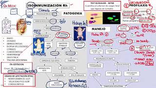 Obstetricia  6 ISOINMUNIZACIÓN RH [upl. by Dominica734]