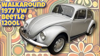 1977 Volkswagen Beetle  Walkaround [upl. by Aikemat]