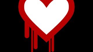 Heartbleed CVE20140160 Attack [upl. by Keg]