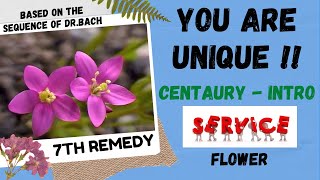 YOU ARE UNIQUE   CENTAURY  INTRO  BASED ON THE SEQUENCE OF DRBACH  7th REMEDY [upl. by Nivlac]