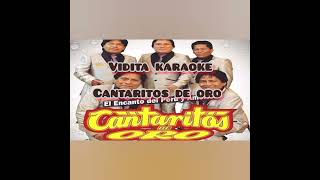 vidita karaoke Cantaritos de Oro DR [upl. by Ernest822]