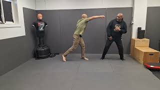 Sideways Stance is the best defensive stance for beginners [upl. by Junji]