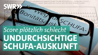 SchufaScore Woher kommt die schlechte Bonität  Marktcheck SWR [upl. by Umont]