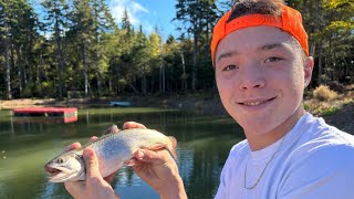 Fishing For Giant Speckled Trout In My Pond [upl. by Gnik]