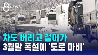 길에 차 버리고 걸어갔다…3월 말 폭설에 도로 마비  SBS 8뉴스 [upl. by Haissem]