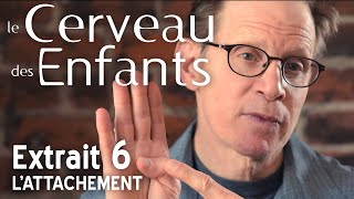 Le Cerveau des Enfants  Extait 06  lAttachement  VF [upl. by Yrocaj]