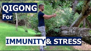 Qigong to Boost Immunity and Lower Stress  Zhan Zhuang  Natural Medicine for Immune Health [upl. by Clementine945]