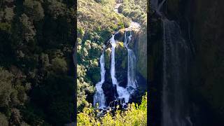 Waterfalls in Waiotapu Taupo New Zealand nature travel nznature newzealand waterfall forest [upl. by Nalid673]