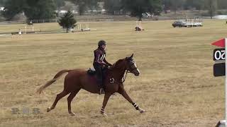 Lauren Maniscalco amp Dorothee TexasRose November Horse Trials 2024 [upl. by Kloman]