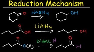 NaBH4 LiAlH4 DIBAL Reduction Mechanism Carboxylic Acid Acid Chloride Ester amp Ketones [upl. by Derwon]