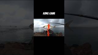 Ajing Fishing ajing fishing rapalafishing keranga mancing [upl. by Atikkin]