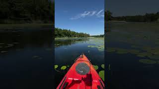 Pinery Provincial Park kayaking the ‘Old Ausable Channel’ [upl. by Clio]