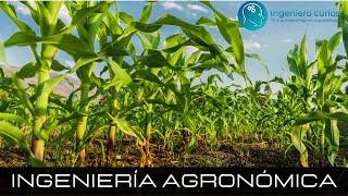 Ingeniería Agronómica  ¿Qué estudiar [upl. by Sinnej133]