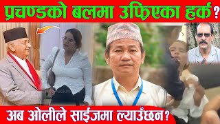 Harka ले धेरै बोलेपनि काम चै राम्रै गर्छन अलि घमण्डी छन Madhav Parajuli Dharan News BG TV [upl. by Eleirbag]