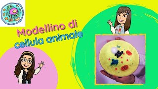 Modellino di cellula animaleTutorial [upl. by Nancie]