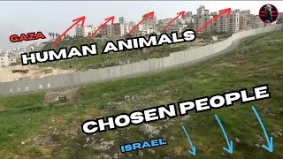 The Hidden Truth About Israel and Palestine YOU Need to Know [upl. by Whalen899]