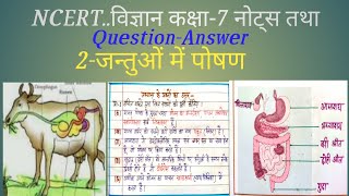 NUTRITION IN ANIMALS Class 7 science chapter 2 notes and questionanswer 202425 [upl. by Aenitsirhc]