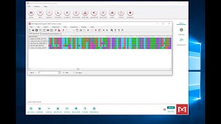 Making a Multiple Sequence Alignment in MEGA [upl. by Laws905]