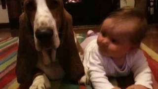 Basset hound and baby [upl. by Sonnie]